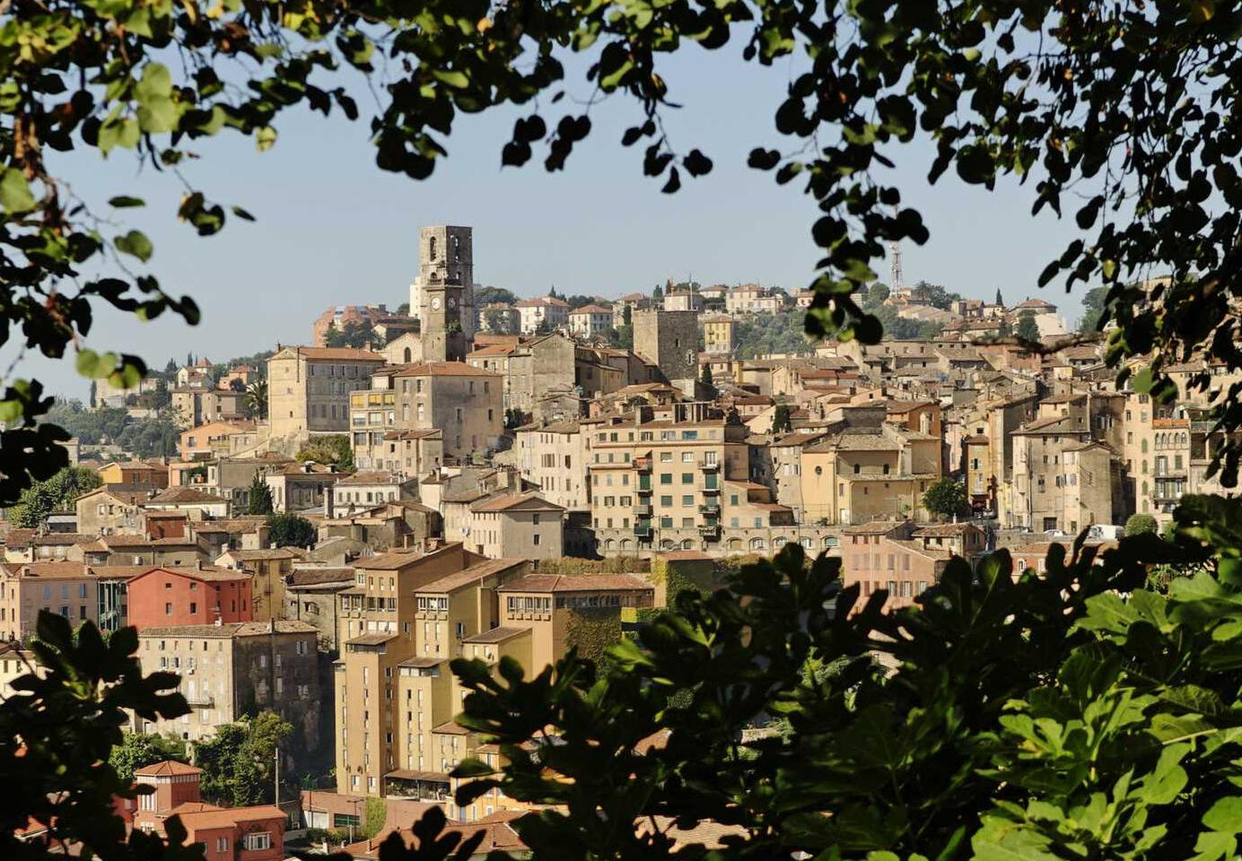 Grasse